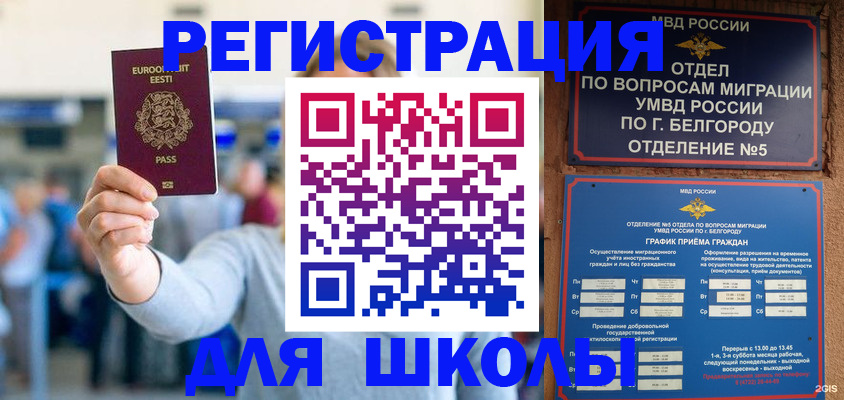 регистрация в Новодвинске